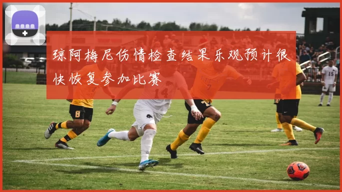 琼阿梅尼伤情检查结果乐观预计很快恢复参加比赛